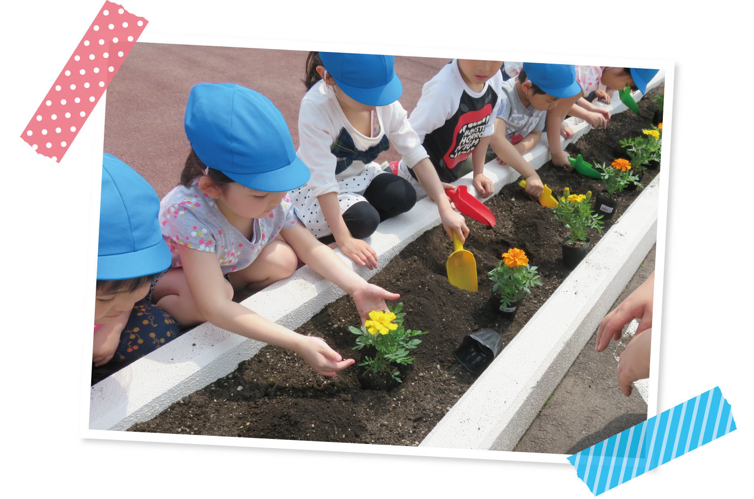 園の様子　ちゅうりっぷ組(3歳児)・ひまわり組(4歳児)・さくら組(5歳児)