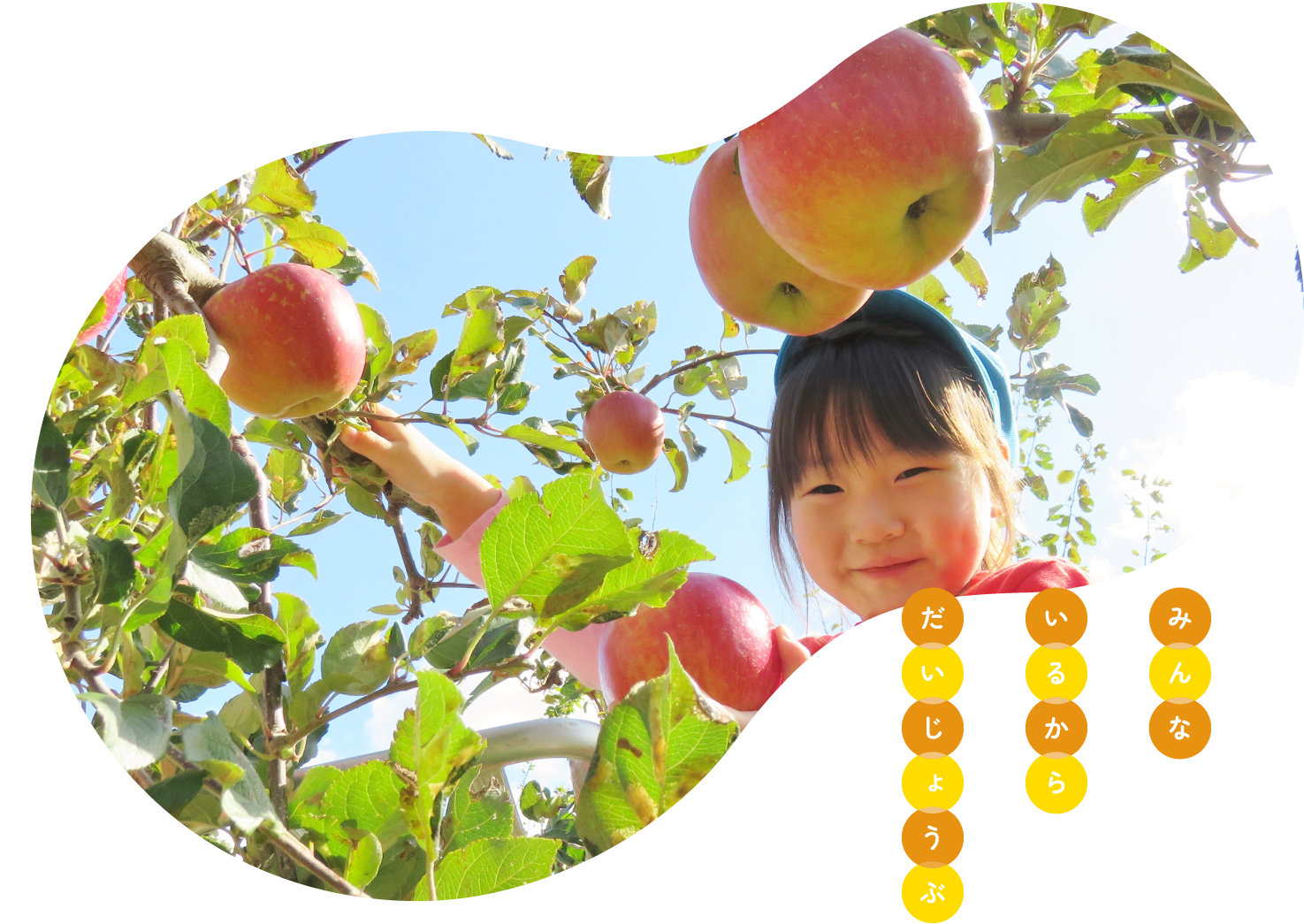 函館大谷短期大学附属港認定こども園